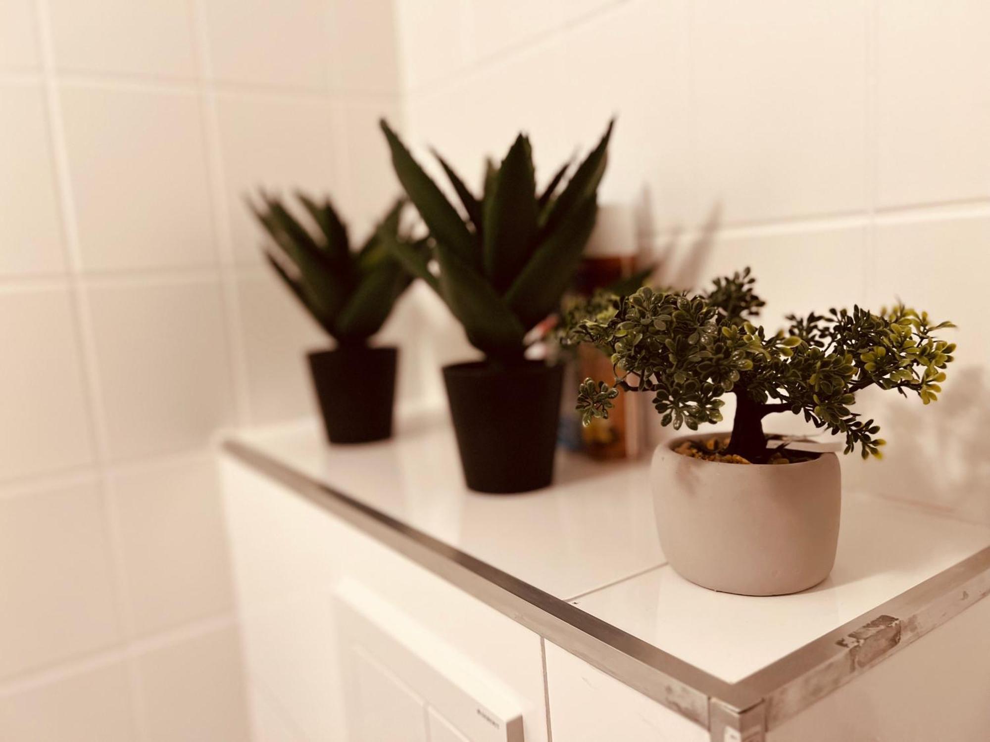 Cologne Luxe Living: Opulent Elegance Unleashed Διαμέρισμα Εξωτερικό φωτογραφία